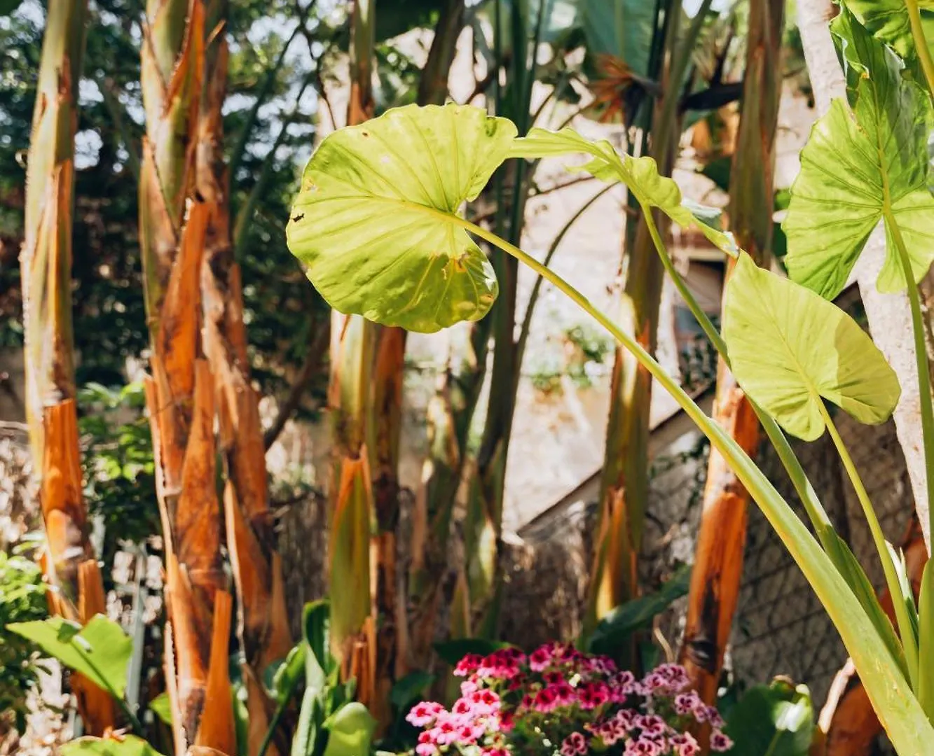 Giardino Del Foro Villa Palermo Holiday home